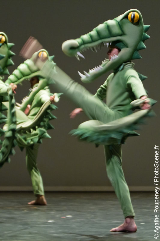 alligator-019