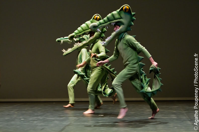 alligator-030