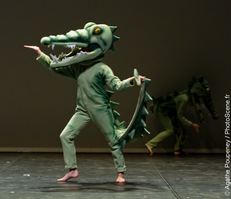 alligator-031