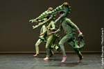 alligator-030
