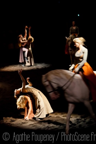 We Were Horses Direction artistique Carolyn Carlson et Bartabas - Académie du spectacle équestre de Versailles