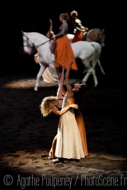 We Were Horses Direction artistique Carolyn Carlson et Bartabas - Académie du spectacle équestre de Versailles